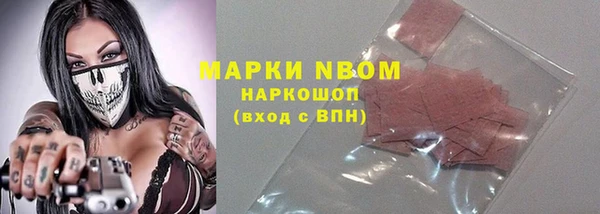мдпв Инта
