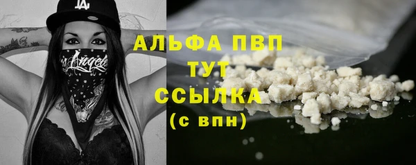 мдпв Инта