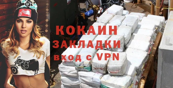 мдпв Инта