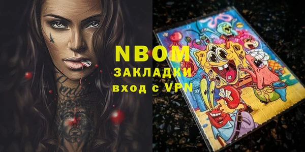 мдпв Инта