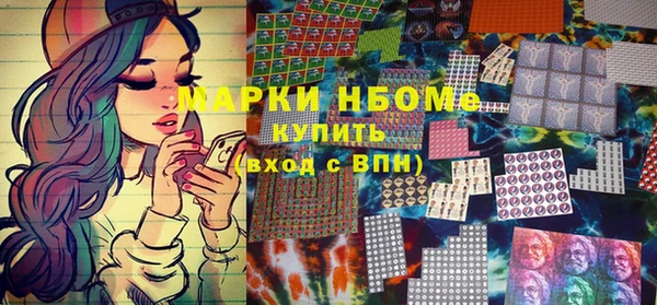мдпв Инта