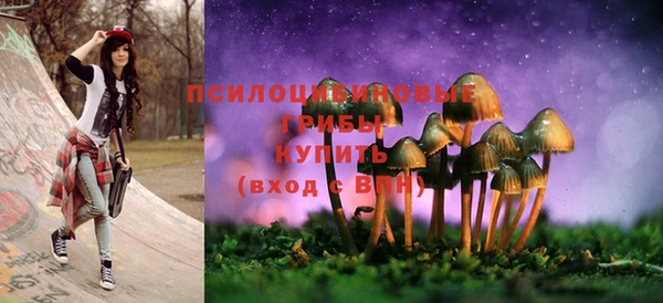 мдпв Инта