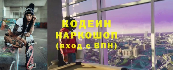 мдпв Инта